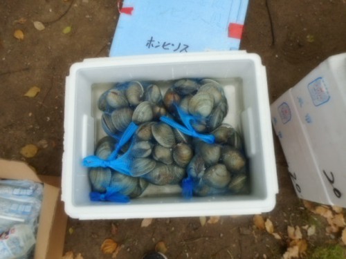DSCN3868