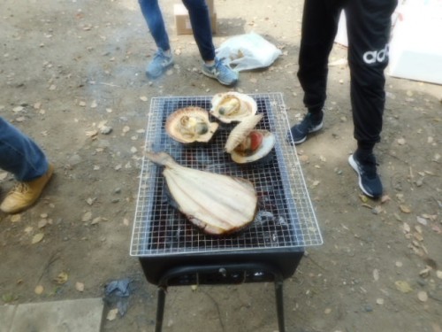 DSCN3876