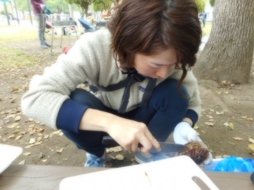 DSCN3897