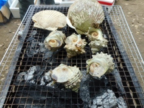 DSCN3905